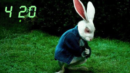 alice in wonderland eats mushrooms