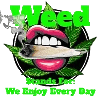 An assortment of lips