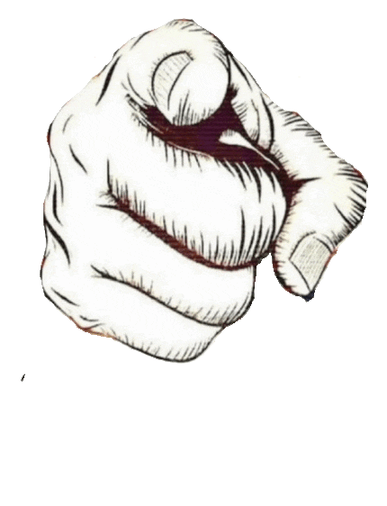 A hand points to a sign that reads only morons are Trump supporters. The background is simple and neutral. The tone is satirical and critical, emphasizing political commentary and dissent.